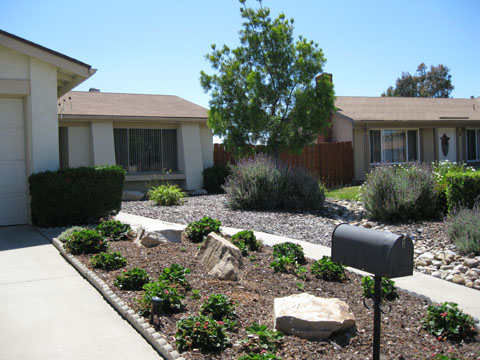Front Yard In Progress