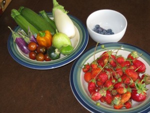 July 13 Harvest Photo 2010