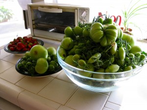 Nearly 11 pounds of green tomatoes