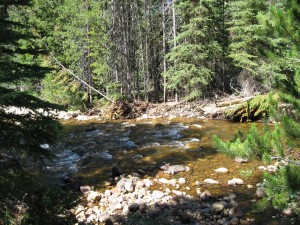 South fork of the Provo