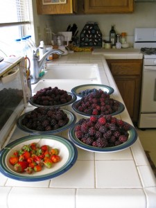 Berry Harvest This Morning