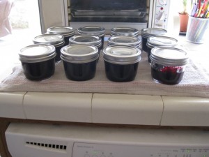 Twelve half-pints full of jam