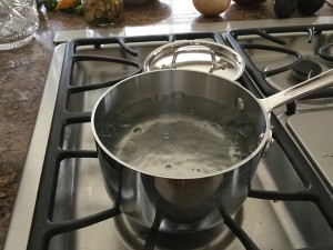 Bring a small, shallow pot of water to a boil.
